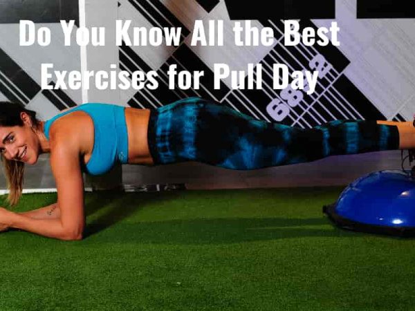 Do You Know All the Best Exercises for Pull Day?