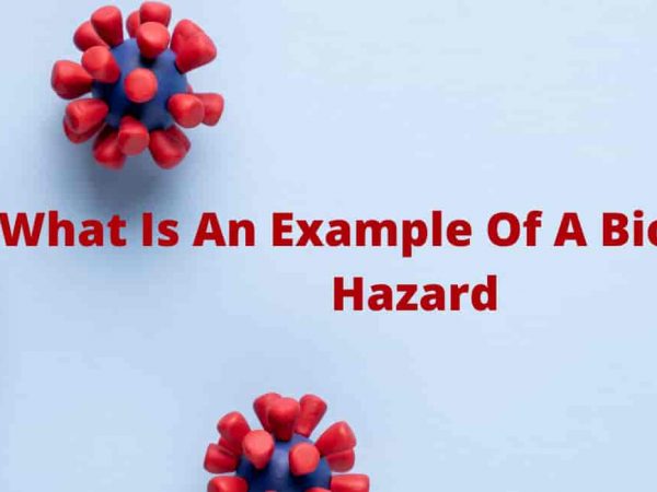 What Is An Example Of A Biological Hazard In Our Daily Lives?