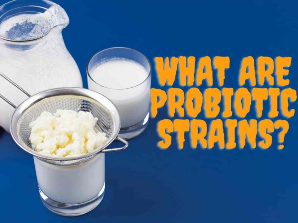 What are probiotic strains?