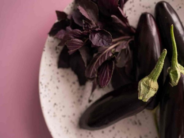 Why You Should Be Eating Eggplant Protein